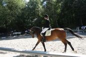 IMG_4260.JPG