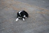 IMG_4307.JPG