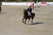 IMG_4967.JPG