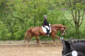 IMG_3844.JPG