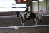 IMG_4929.JPG