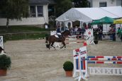 IMG_4607.JPG