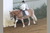 clone_0038.jpg