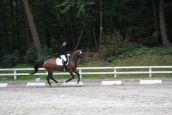 IMG_4362.JPG