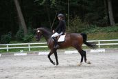 IMG_4339.JPG