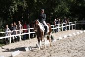 IMG_4229.JPG